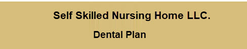 Self Skilled Nursing Home LLC